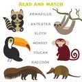 Kids words learning game worksheet read and match. Funny animals Armadillo Anteater Sloth Monkey Toucan Raccoon Educational Game f