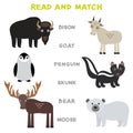 Kids words learning game worksheet read and match. Funny animals Bison Goat Skunk Polar Bear Moose Penguin Educational Game for Pr