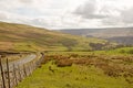 Kidstones Bank, North Yorkshire Royalty Free Stock Photo