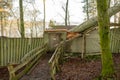 Kielder England: January 2022: Aftermath of Storm Arwen. Tree fallen on a lakeside cabin Royalty Free Stock Photo