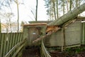 Kielder England: January 2022: Aftermath of Storm Arwen. Tree fallen on a lakeside cabin Royalty Free Stock Photo