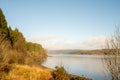 Kielder England: January 2022: Warm sun shining through trees in beautiful Kielder Forrest. Stunning dramtic colours