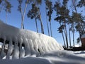 A snowy fence in the winter sun in Kyiv - UKRAINE - EUROPE