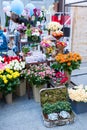 Kiev Flower Market - the first city flower fair in Kiev, Ukraine. September 18, 2016.