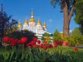 Red tulips and beautiful scenery of the Saint Michael`s golden-domed cathedral and monastery in Kiev