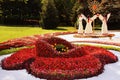 KIEV, UKRAINE - AUGUST 23: flower exhibition in Kiev, Ukraine.