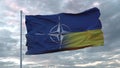 Kiev, Ukraine - February 2022: NATO and Ukraine flag. NATO flag waving. Sign of North Atlantic Treaty Organization and Ukraine. 3d