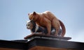 Sculpture cat has sex with a cat Royalty Free Stock Photo