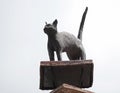 Sculpture of a cat on a pipe at home Royalty Free Stock Photo