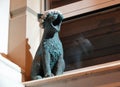 Sculpture of a cat on the windowsill screams Royalty Free Stock Photo