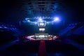 Kiev, Ukraine - March 02, 2019: General view of the ring mma octagon inside the palace of sports before WWFC 14 international