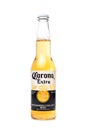 KIEV, UKRAINE - NOVEMBER 29, 2018: Mexican Corona Extra Beer in glass bottle isolated on white background Royalty Free Stock Photo