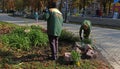 Workers carry out landscaping and landscaping in the Shevchenko park in Kiev