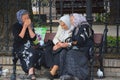 Old women sit on bench park,