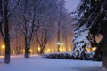 Kiev winter, Mariinsky park Royalty Free Stock Photo