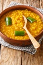 Kik Alicha Ethiopian Yellow Split Pea Stew closeup in the bowl. Vertical