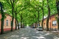 General Drapsin Street in Kikinda, Serbia