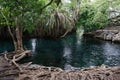 The Kikuletwa hot springs close to Moshi