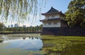 The Kikyo-bori moat overgrown with water plants around the Tokyo Imperial Palace. Tokyo. Japan