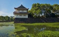 The Kikyo-bori moat overgrown with water plants around the Tokyo Imperial Palace. Tokyo. Japan