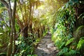 Kilauea Iki trail in Volcanoes National Park in Big Island of Hawaii. Royalty Free Stock Photo