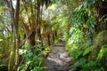 Kilauea Iki trail in Volcanoes National Park in Big Island of Hawaii Royalty Free Stock Photo