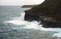 Kilauea Point Royalty Free Stock Photo