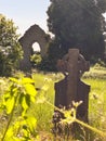 Kildare Abbey, The Grey Abbey, county Kildare, Ireland