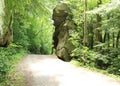 Kildo Trail - McConnells Mill State Park - Portersville, Pennsylvania Royalty Free Stock Photo