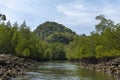 Kilim Geoforest Park, Langkawi Royalty Free Stock Photo