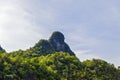 Kilim Geoforest Park, Langkawi Royalty Free Stock Photo