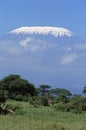 KILIMANDJARO