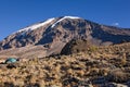 Kilimanjaro 021 karango camp