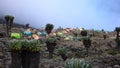 Karanga Hut Camp on Kilimanjaro