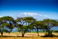 Kilimanjaro landscape