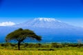 Kilimanjaro landscape