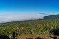 Kilimanjaro, Machame route