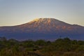 Kilimanjaro Mountain Morning Tanzania Kenya Africa