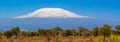 Kilimanjaro mount Kili Royalty Free Stock Photo