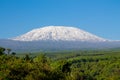Kilimanjaro mountain panoramic view Royalty Free Stock Photo