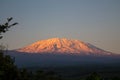 Kilimanjaro mountain at sunset Royalty Free Stock Photo