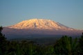 Kilimanjaro mountain at sunset Royalty Free Stock Photo