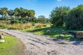 Kilimanjaro Safaris at Animal Kingdom at Walt Disney World