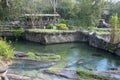 Kilimanjaro Safaris, Disney World, Animal Kingdom, Travel Royalty Free Stock Photo