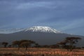 Kilimanjaro - Tanzania - Africa