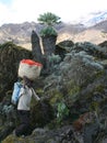 Kilimanjaro - Tanzania, 01.31.2016: a porter carries a load on his head among the African landscape