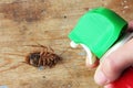 Kill cockroach with pest exterminator
