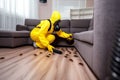 cockroach pest control uniform exterminator kill pesticide insect termite sofa. Generative AI.