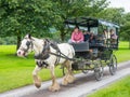 A Jaunting Car in Killarney National Park