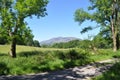 Killarney National Park, Ireland Royalty Free Stock Photo